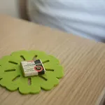 Lavika 3*