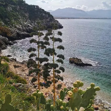 Lavika Pedara