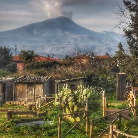 Lavika 3* Pedara