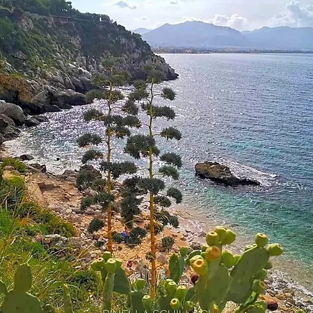 Lavika Oda ve Kahvaltı